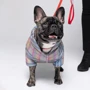 Комбінезон для собак Pet Fashion Indigo розмір M (4823082428953): Розмір тваринного Средние