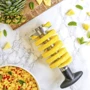 Нож для сердцевини ананаса Kitchen Craft Masterclass d 8 см (MCPACORESS): Лезвие Нержавеющая сталь