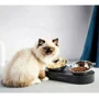Годівниця Petkit Fresh Nano Metal 15° Adjustable (P5201): Обсяг 2х480 мл