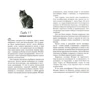 Феликс с железной дороги: Производитель АСТ
