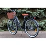 Електровелосипед VEGA Family S (Black): Вага пристрою, кг 25