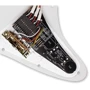 Звукосниматель Комплект электроники EMG DG20 IVORY: Тип Синглы