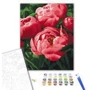 Картина за номерами Brushme Насичений колір півонії 40x50 см (BS51711): Виробник Brushme