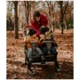 Коляска прогулочная для двойни Carrello Connect Serious Black (CRL-5502): Количество блоков 2