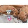 Іграшка для цуценят Trixie Junior Ведмедик з кільцем 23 см сірий (4011905361772) фото 2