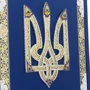 М. С. Грушевський: Ілюстрована історія України (в коробці) фото 6