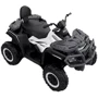 Детский электромобиль-квадроцикл Bambi Racer черно-белый (M 4868EL-1(24V)): Вид квадроцикл