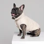 Жилет для собак Pet Fashion LUCKY бежевий XL (4823082428724): Розмір тваринного Большие