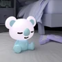 Світильник-нічник Kite LED з акумулятором Koala (K24-491-2-3): Тип живлення акумулятор