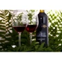 Вино Чизай Каберне Кошерне червоне сухе 0.75 л (VTS6315031): Сорт винограду Cabernet Sauvignon