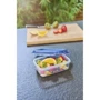 Сковорода Tefal Renew 26 см+контейнер Tefal Master Seal Eco 0.8 л (C4250543): Материал ручки Бакелит