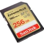 Карта пам'яті SanDisk 256GB SDXC Class 10 UHS-I U3 V30 Extreme Plus (SDSDXWV-256G-GNCIN): Тип карти SDXC