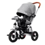 Велосипед триколісний Tilly Travel Сірий льон (T-387/1 GREY)