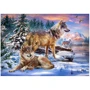 Пазл Castorland 500 животные Волчий мир (0505-53049): Производитель CASTORLAND
