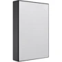 Внешний жесткий диск Seagate One Touch Portable 1TB (STKB1000401): Форм-фактор 2.5"