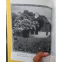 Большая книга семейной мудрости: Количество страниц 608