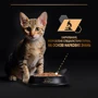 Влажный корм Pro Plan Kitten Nutrisavour для котят кусочки индейки в соусе 26х85г (7613036093453) фото 8