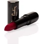 Pierre Cardin Porcelain Edition Lipstick № 227 Фламинго Помада для губ 4 g: Класс косметики Элитная