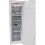 Морозильна камера Gorenje FN61CSY2W: Кількість дверей 1