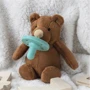 Пустушка MinikOiOi Sleep Buddy - Moi силіконова з м'якою іграшкою (101010008): Вид пустушки классическая
