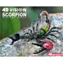 Объемная анатомическая модель 4D Master Скорпион (FM-622033) фото 10