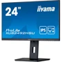 Монитор iiyama XUB2492HSU-B5: Формат изображения 16:9