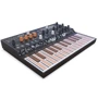 Синтезатор Arturia MicroFreak: Тип клавіатури Динамическая механика