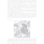 Эрик Эванс: Предметно-ориентированное проектирование (DDD): структуризация сложных программных систем: Количество страниц 448