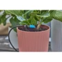 Набор для капельного полива Gardena Micro-Drip-System Terrace Set (13400-20.000.00): Тип шланг садовый