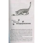 Джеймс Боуен: Боб - незвичайний кіт: ISBN 978-5-386-10743-7