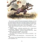 Велика книга казок. Ілюстрації Джон Пейшенс: Жанр Сказки