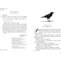 Джессика Таунсенд: Невермур. Испытания Морриган Кроу: Производитель Робинс