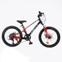 Детский спортивный велосипед Corso Next 20" дюймов (NX-20319)