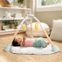 Центр ігровий розвиваючий Chicco 6в1 Tummy to Toes Ingenuity (16904): Тип развивающий центр