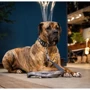 Нашийник Max & Molly Smart ID Collar - Matrix 2.0 Stone/L для собак (4255636809626): Призначення Для больших пород