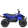 Детский электроквадроцикл Bambi Racer 4WD 140W синий (M 5031EBLRS-4): Вес, кг 22.7