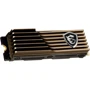MSI Spatium M570 w/heatsink 1 TB (S78-440L1M0-P83)