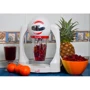 Блендер Hilton Smoothie SMS 8132 White: Конструкция стационарный