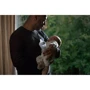 Бутылочка для кормления Philips Avent Natural 260 мл (SCY903/66) фото 8
