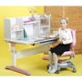 Парта SingBee Q-Assembly U Pink + Книжная стеллаж SBS-613 (SBS-603-PK + SBS-613): Тип Парта