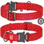 Ошейник WAUDOG Nylon с QR-паспортом, рисунок "Арбуз", металлическая пряжка-фастекс 25 мм 35-58 см разноцветный (5150)