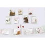 Набор для выращивания растений Danko Toys Home Florarium (HFL-01)