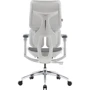 Офисное кресло Sihoo DORO S100 Mesh White (S100-M302)