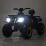 Детский электромобиль-квадроцикл Bambi Racer черно-желтый (M 4868EL-2-6(24V)): Вес, кг 17