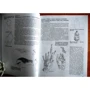 Берт Додсон: Искусство рисунка: ISBN 978-985-15-3591-6