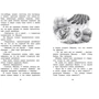 Агнеш Балинт: Изюмка и гном: Количество страниц 128