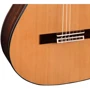 Класична гітара ADMIRA Virtuoso EC: Кількість струн 6
