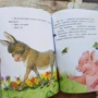 Михаил Пляцковский: Непонятливый львенок: Количество страниц 48