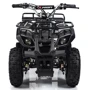 Детский электромобиль Квадроцикл Bambi HB-EATV800N-19 V3 до 65 кг: Вид квадроцикл