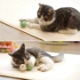 Мячик для котов Cheerble Ice Cream Ball Зеленый (2213)